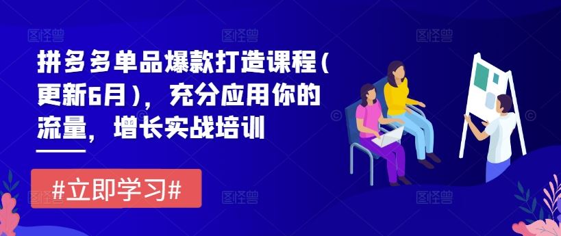 拼多多单品爆款打造课程(更新6月)，充分应用你的流量，增长实战培训-必智轻创社