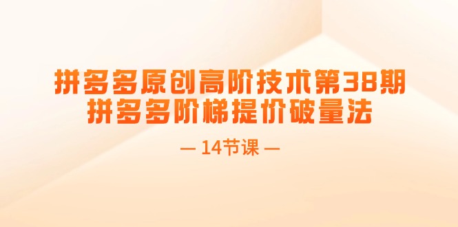 （11704期）拼多多原创高阶技术第38期，拼多多阶梯提价破量法（14节课）-必智轻创社