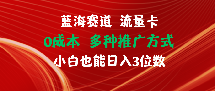 （11768期）蓝海赛道 流量卡 0成本 小白也能日入三位数-必智轻创社