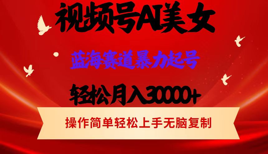 （12178期）视频号AI美女跳舞，轻松月入30000+，蓝海赛道，流量池巨大，起号猛，当…-必智轻创社