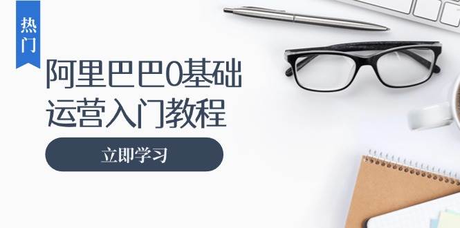 阿里巴巴运营零基础入门教程：涵盖开店、运营、推广，快速成为电商高手-必智轻创社