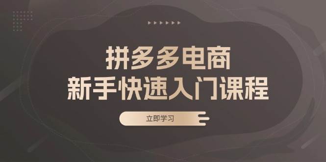 拼多多电商新手快速入门课程：涵盖基础、实战与选款，助力小白轻松上手-必智轻创社