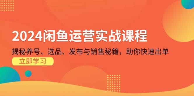 2024闲鱼运营实战课程：揭秘养号、选品、发布与销售秘籍，助你快速出单-必智轻创社