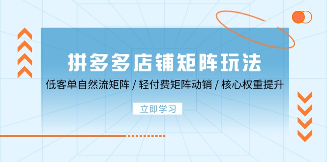 拼多多店铺矩阵玩法：低客单自然流矩阵 / 轻付费矩阵 动销 / 核心权重提升-必智轻创社