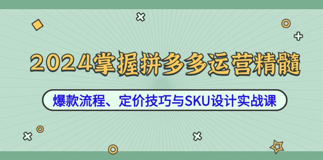 2024掌握拼多多运营精髓：爆款流程、定价技巧与SKU设计实战课-必智轻创社