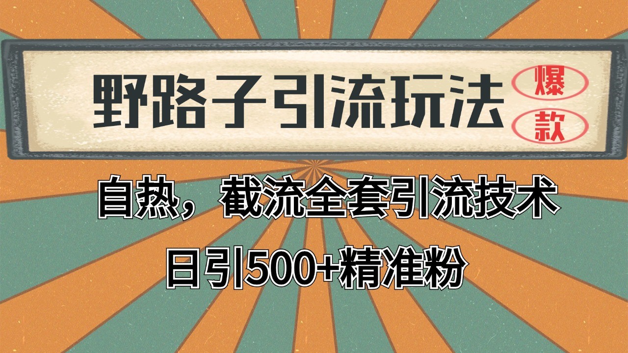 抖音小红书视频号全平台引流打法，全自动引流日引2000+精准客户-必智轻创社