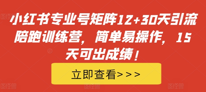 小红书专业号矩阵12+30天引流陪跑训练营，简单易操作，15天可出成绩!-必智轻创社