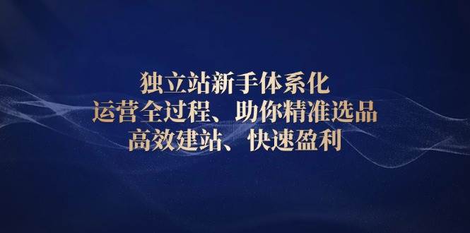 独立站新手体系化 运营全过程，助你精准选品、高效建站、快速盈利-必智轻创社