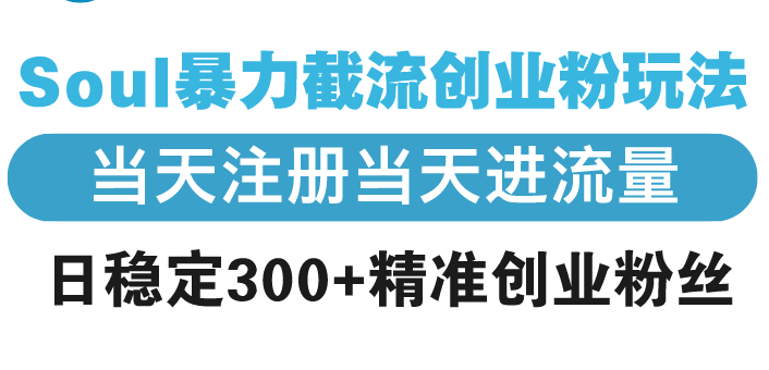 Soul暴力截流创业粉玩法，当天注册当天进流量，日稳定300+精准创业粉丝-必智轻创社