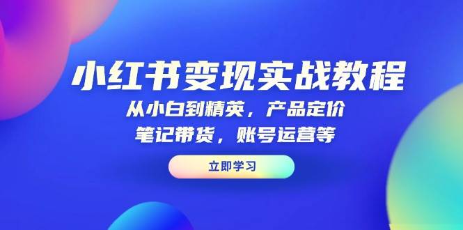 小红书变现实战教程：从小白到精英，产品定价，笔记带货，账号运营等-必智轻创社