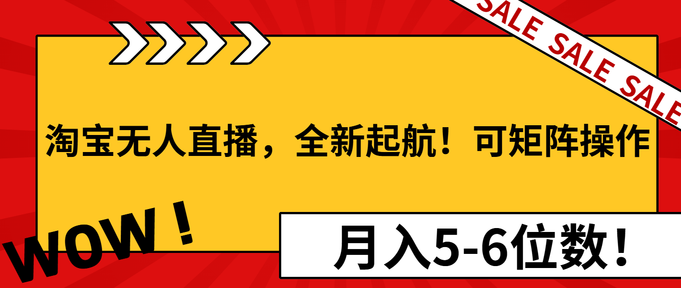 淘宝无人直播，全新起航！可矩阵操作，月入5-6位数！-必智轻创社