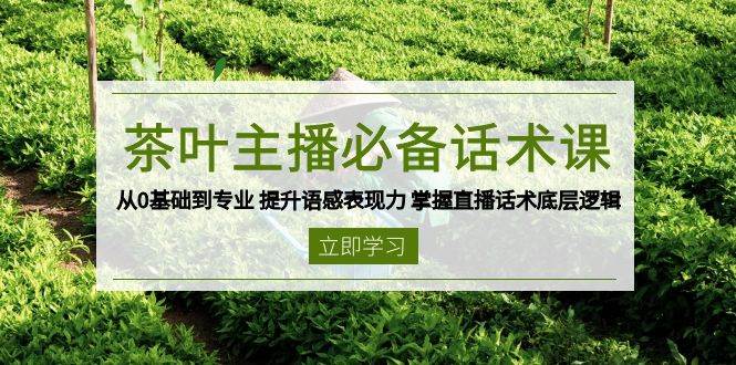 茶叶主播必备话术课 从0基础到专业 提升语感表现力 掌握直播话术底层逻辑-必智轻创社