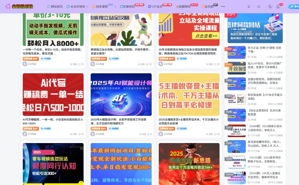 图片[2]-高级合伙人-必智轻创