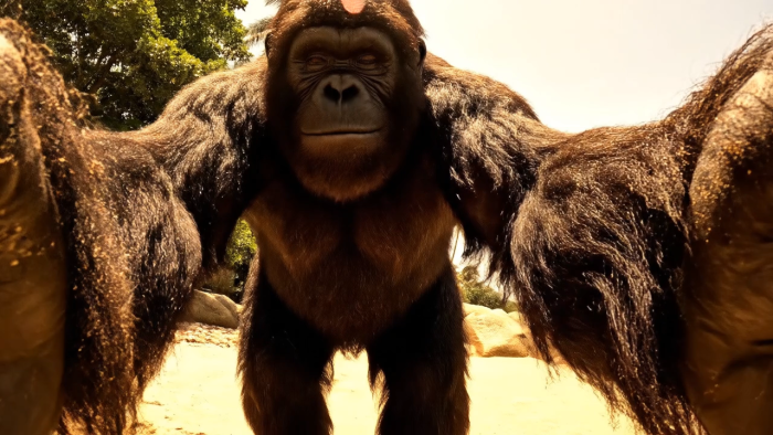 Veo 3详细提示词教程,带多个实操案例-必智轻创